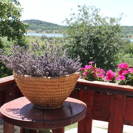 Apartment Apartman Nikol *